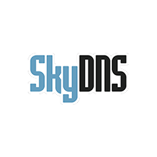 SkyDNS